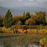 Trans Canada Trail / Jerry Sulina Park
