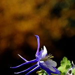 Pero que sea al sol.