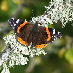 Change of the seasons