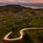 bassgeige kaiserstuhl