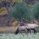 Let me introduce myself