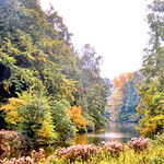 Nature Paintings at the Ch&acirc;teau Wonderland!❤️!!