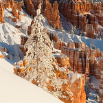 Any authentic work of art must start an argument between the artist and his audience&hellip;