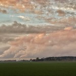 Rose-tinted air pollutions