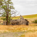 Another One Bit The Dust