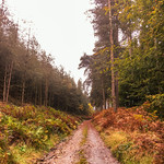 Rainbow Valley, Cannock Chase, England