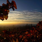 Autumn in Monferrato
