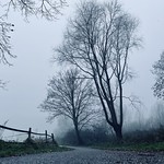 Saturday Morning Stroll