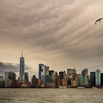 The flight of the seagull - El vuelo de la gaviota