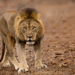 too close for comfort