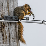 One Step up From Popcorn .................HSoS