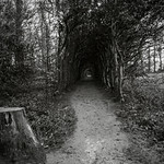 Light at the end of the tunnel