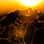 Flirting with the Sun