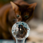 Esbj&ouml;rn lens ball