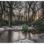 Making sense of it all.