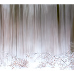 Transparenz auf allen Ebenen