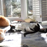 Tina steals the show. Jimmy's shape is just unfortunate.