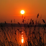 (Angel) - Orange Poem