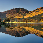 Springtime sentinels