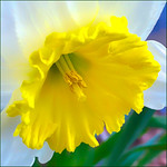 up close and personal