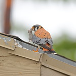 Saving it for a rainy day