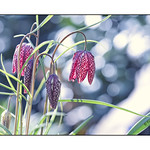 Endlich..............