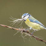 ... Finders Keepers ...