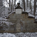 IMGP2661 (1) -2strvibfwlcon