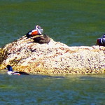 Happy Earth Day 2021!