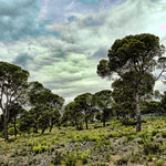 Montes valencianos (edici&oacute;n SPICIFY)