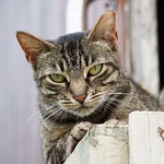 I see right through you..