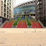 Drawn Together by Tash Randolph