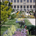 Promenade &agrave; Paris