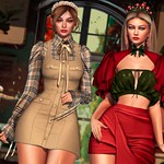 ⭐️ Photo of the day of Any Moonwall ⭐️