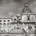 The shameless magnificent