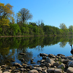 > > Down by the River < <