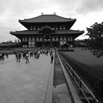 XE3F3100 - Daibutsu-den, Tōdai-ji - 大仏殿, 東大寺 (Nara - 奈良市 )