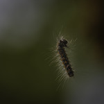 Equilibre sur le fil