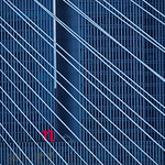 Erasmusbrug en de Rotterdam