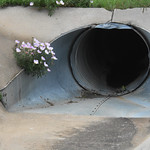 Mother Nature always wins