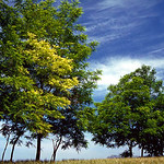 <Umanit&agrave;,... proteggici, amaci> <humanity, ... protect us, love us>