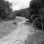 &ldquo;Carcavello&rdquo; lungo la &ldquo;cessa&rdquo;. (on Explore! ⭐️ June 30, 2021)