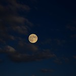 E la luna buss&ograve;....