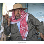 Il est frais mon calmar !