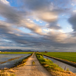 La Marjal. Explore 3/8/21