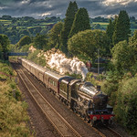 45596 South Brent 01.08.21