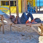 Hard Life, Hellshire Beach, Jamaica