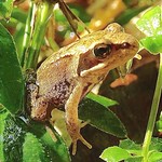 ' We're doing fine, thanks '