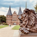 The L&uuml;beck Lions!