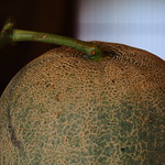 melon
